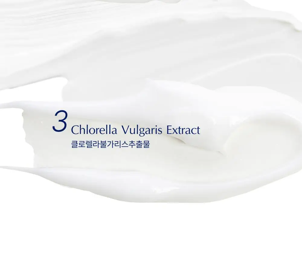 [단백질 결합] 바이오가 노워시 프로틴 부스터 트리트먼트 메티오닌 300ml (단품/기획+샴푸 50 ml) 상세페이지 8